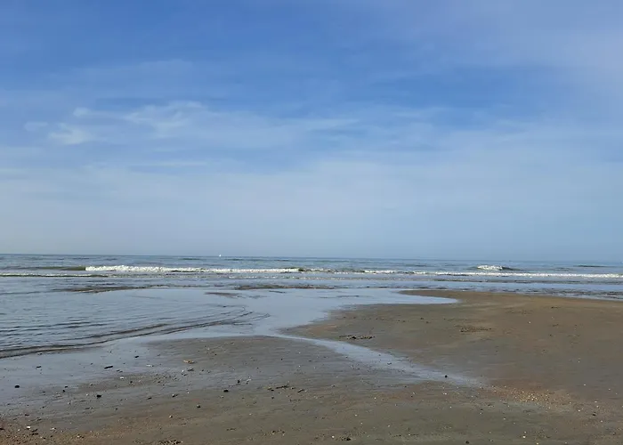 Dunehuys Vakantiehuis *